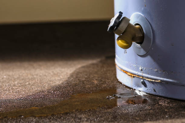 Best Fire Damage Restoration  in Melody Hill, IN