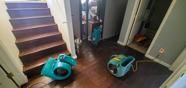 Best Water damage restoration insurance claims  in Melody Hill, IN