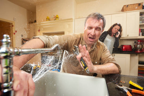 Best Flood restoration services  in Melody Hill, IN